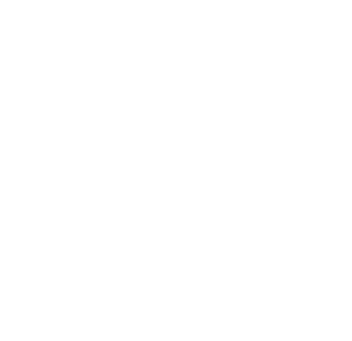 Logo del corso FROM DESIGN TO ORBIT